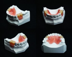Tipos de dientes y su función